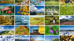 pelle melle de photos nature - canva