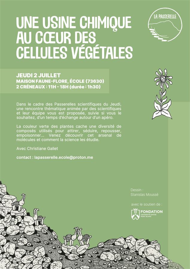 Passerelles scientifiques du jeudi - 02 juillet - Naïs Granjard