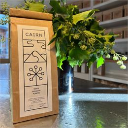 Intérieur boutique - CAIRN PLANTES