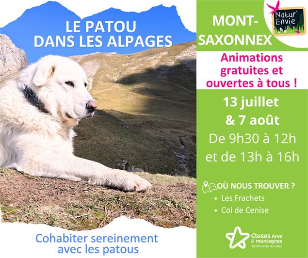 Sensibilisation des randonneurs face aux chiens de protection - Mont-Saxonnex_Mont-Saxonnex