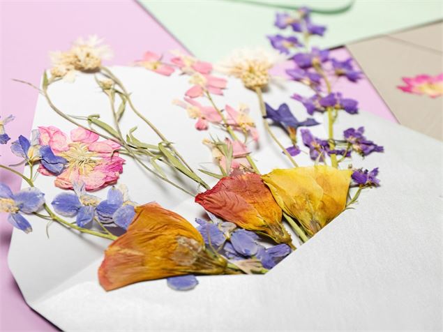 fleurs séchées - pixabay
