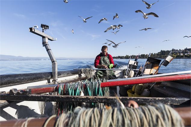 Un pêcheur remonte ses filets - Service culture Ville de Thonon