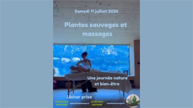 Plantes sauvages et massages - Le Pétiole Sauvage