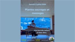 Plantes sauvages et massages - Le Pétiole Sauvage