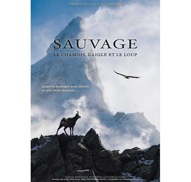 Projections et conférence de films animaliers - Lapied