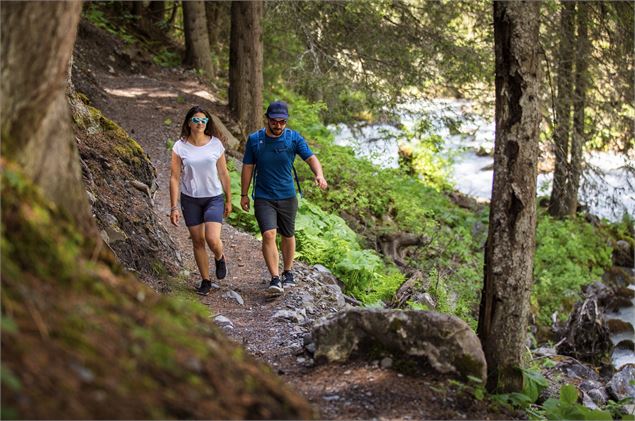 Bain de forêt : une reconnexion à la nature - ©Sylvain Aymoz