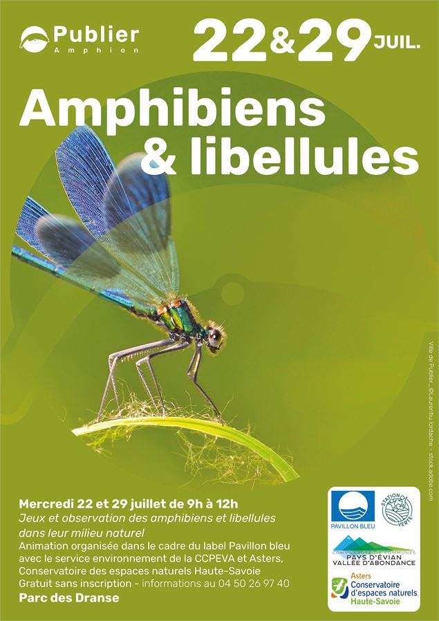 Amphibiens et libellules ! - Mairie de Publier