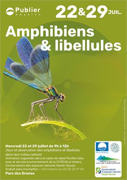 Amphibiens et libellules ! - Mairie de Publier