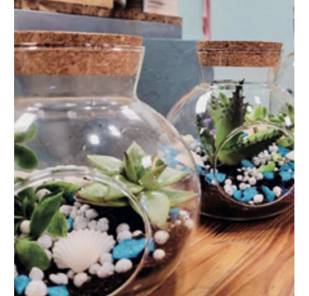 Création d'un terrarium - Pom'Violette