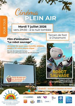 Ciné plein air - Marie Artuis