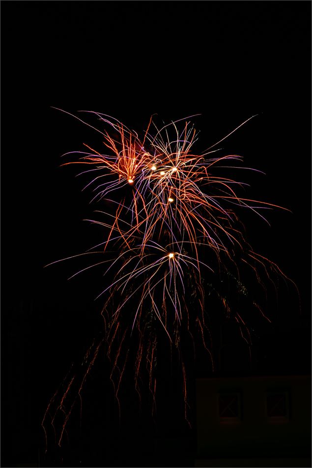 Feu d'artifice_Dagneux - Pexels Deepak Ramesha