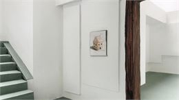 Under a Home With No Roof -  Sara de Brito Faustino - Sara de Brito Faustino - "Under A Home With No