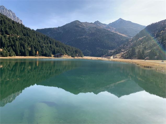 Réserve naturelle de Tuéda et forêt d'Arolle