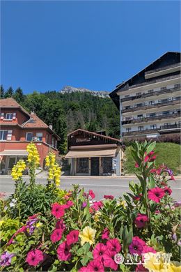 Boutique de souvenirs et cadeaux  - ©alpew