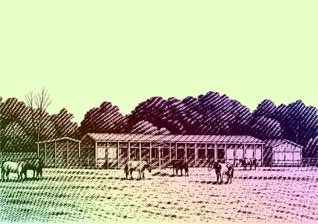 Promenade botanique à Lancy - DR