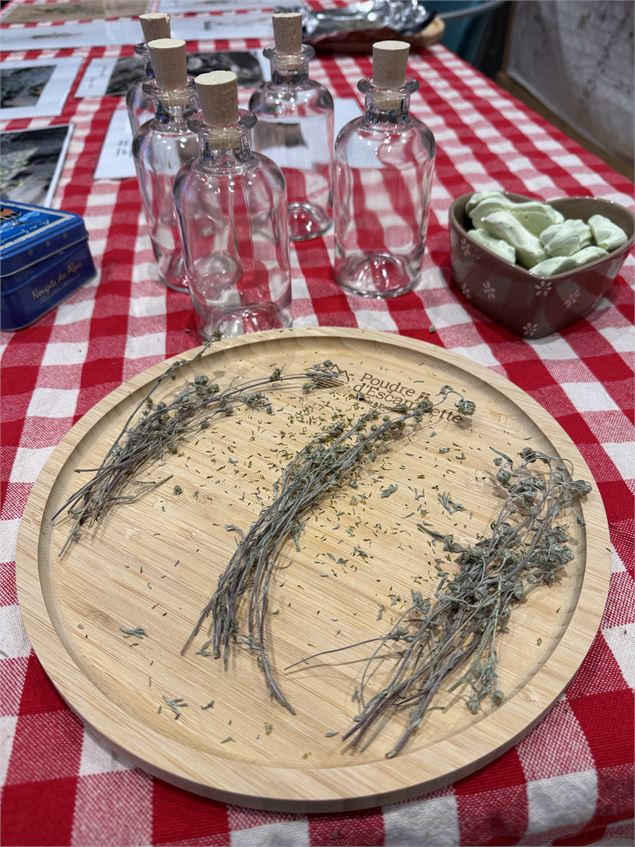 Atelier fabrication de génépi et découverte culturelle_Taninges - Poudre d'Escampette