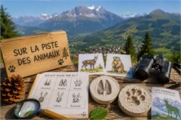 "Sur la piste des animaux" avec le Château des Rubins_Combloux