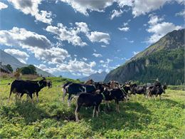 Ferme des étroits à Valloire - X. Aury