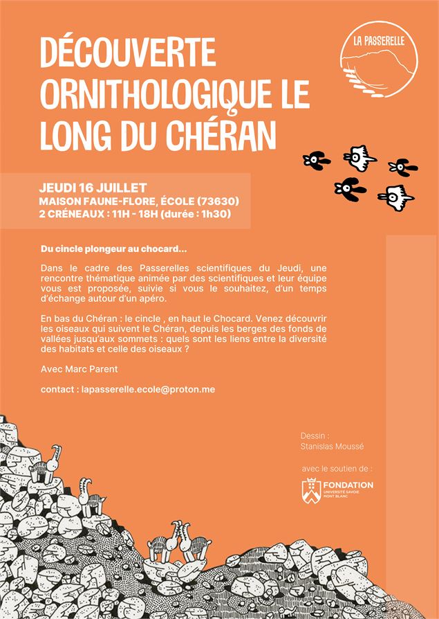 Passerelles scientifiques du jeudi - 16 juillet - Naïs Granjard
