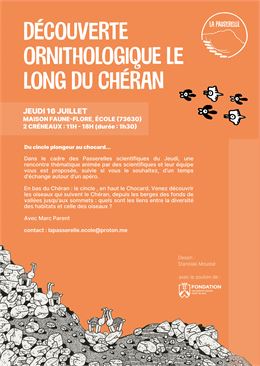 Passerelles scientifiques du jeudi - 16 juillet - Naïs Granjard
