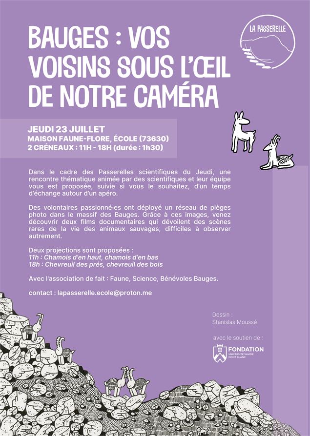 Passerelles scientifiques du jeudi - 23 juillet - Naïs Granjard