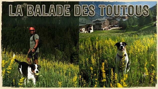 La balade des Toutous_Valfréjus - Florian Lambert