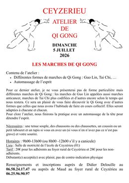 Atelier de Qi Gong_Ceyzérieu - Didier Delouille