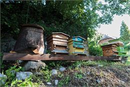 Atelier "Je découvre les abeilles" - Yvan Tisseyre/OT Vallée d'Aulps