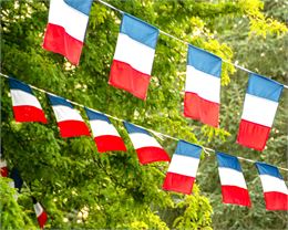 Fête Nationale - défilé du 14 juillet