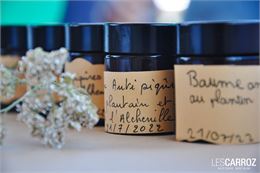 Balade, cueillette et fabrication de remède de grand-mère