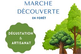 Marche découverte_Thônes - Office de tourisme