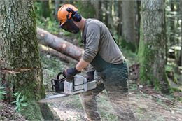 Vis ma vie de bûcheron dans le Bugey - FIBOIS