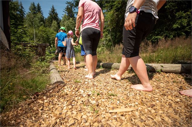 Barefooting au pays des tourbières du Géoparc du Chablais