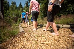 Barefooting au pays des tourbières du Géoparc du Chablais
