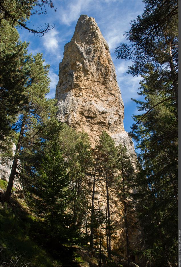 Les secrets de la forêt du Monolithe_Val-Cenis - PNV