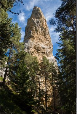 Les secrets de la forêt du Monolithe_Val-Cenis - PNV
