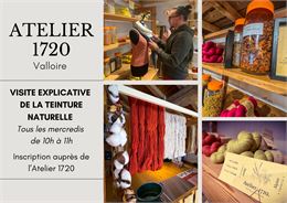 Visite explicative de la  teinture naturelle_Valloire