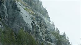 Exposition | Le bestiaire enchanté de Cesare_Aime-la-Plagne - Caroline Cesare