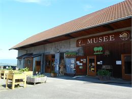 ruche vitrée - musee de la nature