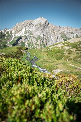 A la découverte de la réserve naturelle - Les Contamines Tourisme