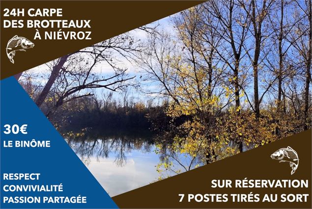 Pêche carpe de nuit_Niévroz