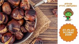 Atelier découverte de la nature pour enfants - Explore, goûte et apprends sur la châtaigne ! - DR