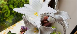 Perles à repasser : créer votre bouquet intemporel (adultes) - DR