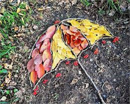 Atelier Land Art Nature_Sainte-Foy-Tarentaise