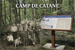 Photo de la foret - Memoire Ain 44