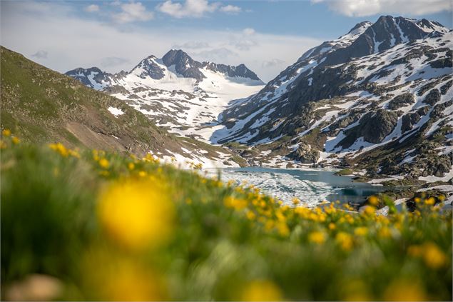 Glacier de Saint Sorlin - OT SSA