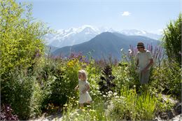 A la découverte de la flore sauvage_Passy