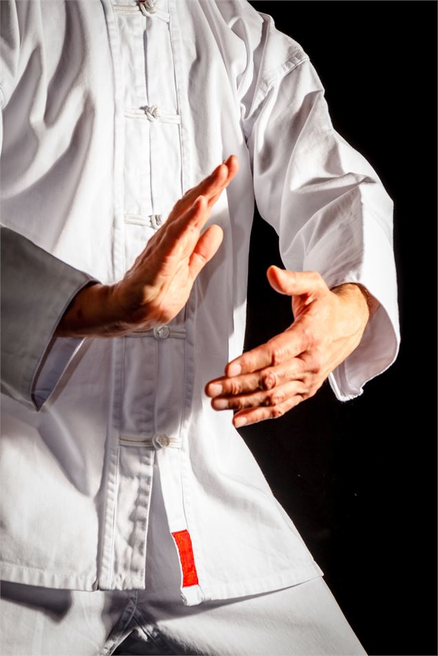 Cours de Qi-gong_Passy - pixabay