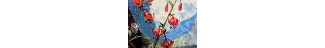 Acrylique - Martine Julliard / Réjane Fissot