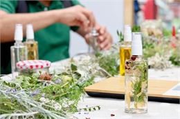 Atelier Mieux Vivre au Naturel - Spray assainissant aux plantes - DR